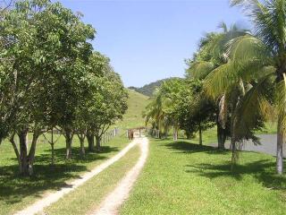 S&atilde;o Paulo: Excelente fazenda em Silva Jardim com 475,77 hectares 2