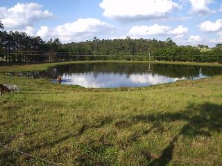 Itapetininga: FAZENDA &Aacute; VENDA EM SOROCABA - 47 ALQS 5