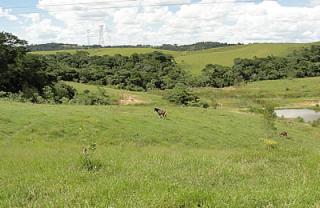 Itapetininga: FAZENDA &Aacute; VENDA EM ITAPETININGA  - 50 ALQS 5