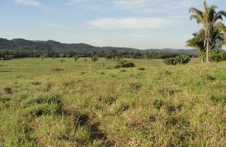 Itapetininga: FAZENDA &Aacute; VENDA EM REGISTRO - 426 ALQS 5