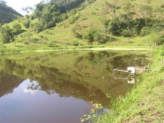 S&atilde;o Paulo: Fazenda/Industria em Silva Jardim Matadouro Frigor&iacute;fico - Entreposto de pescados 2