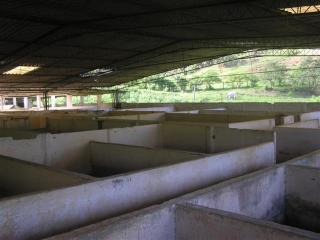 S&atilde;o Paulo: Fazenda/Industria em Silva Jardim Matadouro Frigor&iacute;fico - Entreposto de pescados 6