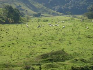 São Paulo: Fazenda com 1292,28 hectares Macaé - Rio de Janeiro  8