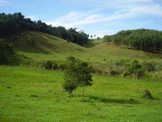 S&atilde;o Jos&eacute; dos Campos: VD. FAZENDA FORMADA - 200 ALQUEIRES 3