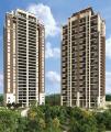 S&atilde;o Paulo: LAN&Ccedil;AMENTO CYRELA - Aptos Aureo Santana - 190m&sup2;