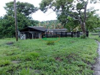 Ouro Preto: Fazenda de 82 hectares em Florestal 1