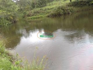 Ouro Preto: Fazenda de 82 hectares em Florestal 3