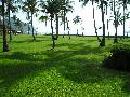 Guaruj&aacute;: Casa na Praia de Pernambuco (Guaruj&aacute;) 