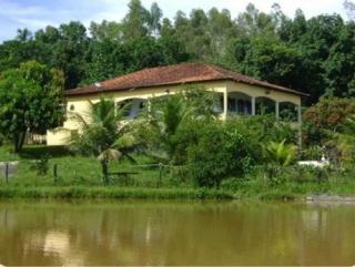 S&atilde;o Paulo: Fazenda com gado de leite e eucalipto Porteira fechadoa - Silva Jardim / RJ 1