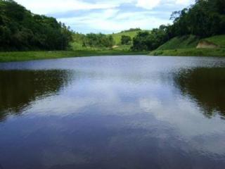 S&atilde;o Paulo: Fazenda com gado de leite e eucalipto Porteira fechadoa - Silva Jardim / RJ 2