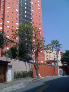 Santo Andr&eacute;:  Apartamento Rua Tuiuti- valparaiso - santo andre 3