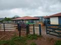 Maravilhas: Fazenda em Maravilhas