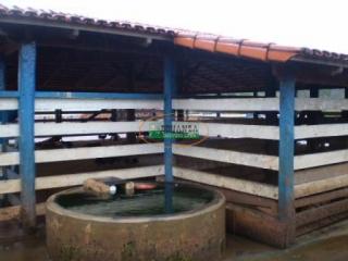 Ouro Preto: Fazenda em Maravilhas 3