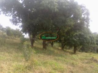 Ouro Preto: Terreno em Brumadinho- Barreiro 2