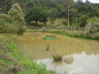 Ouro Preto: Sítio na Zona rural de Caranaíba com 32 ha 2