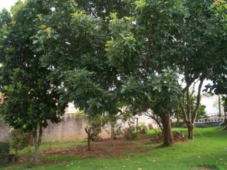 Vargem Grande Paulista: LINDA CASA EM CONDOM&Iacute;NIO FECHADO 6