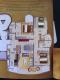 Oportunidade unica de investimento Itapema-SC