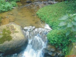 Cachoeiras de Macacu: &Oacute;tima oportunidade em Cachoeiras de Macacu!!!! Fa054 5