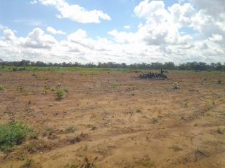 S&atilde;o Paulo: Fazenda com 206 alqueires no municipio de Santa Rosa 4
