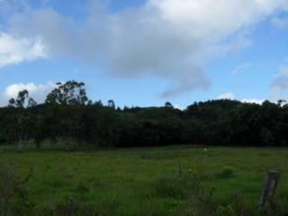 Recife: Lançamento Lotes em Aldeia - PE-16 (1000m²) 35 Mil 1