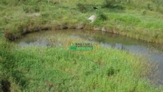 Ouro Preto: Sítio no B. Mutuca em Belo Vale 6