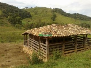 Ouro Preto: Fazenda no B.Vargem Alegre em Bonfim Moeda 5