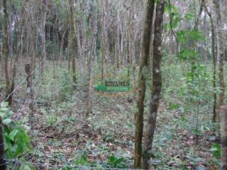 Ouro Preto: Terreno no B. Aranha em Brumadinho 1