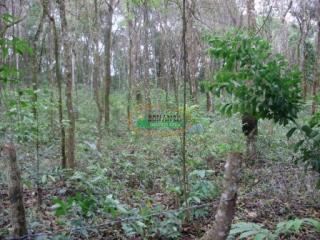 Ouro Preto: Terreno no B. Aranha em Brumadinho 2