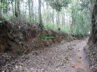 Ouro Preto: Terreno no B. Aranha em Brumadinho 3
