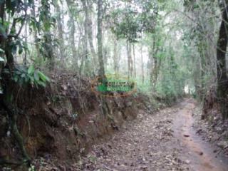 Ouro Preto: Terreno no B. Aranha em Brumadinho 4