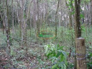 Ouro Preto: Terreno no B. Aranha em Brumadinho 5