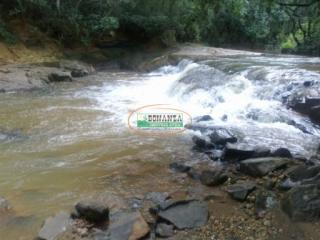 Ouro Preto: Fazenda de 43 ha- B. Aranha em Brumadinho 1