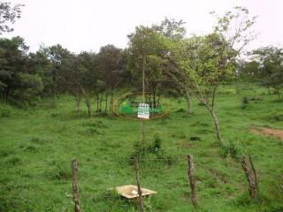 Ouro Preto: Terreno no B. Barreiro em Brumadinho 3