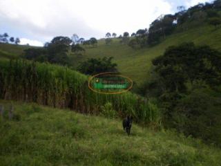 Ouro Preto: Fazenda no B.Calado em Itabirito  4