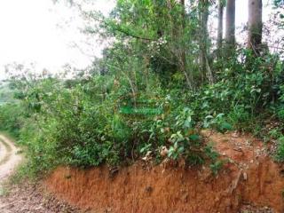 Ouro Preto: Ch&aacute;cara no B.Almeida em Lafaiete  7