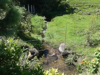 S&atilde;o Pedro de Alc&acirc;ntara: Sitio em S&atilde;o Pedro de Alc&acirc;ntara 5