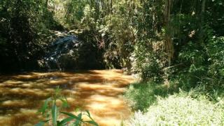 Guararema: Mini Fazenda em Guararema  5