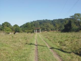 Cachoeiras de Macacu: Sitio com 12 hectares 7