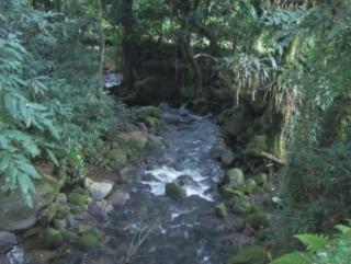 Cachoeiras de Macacu:  Atenção lindo sítio 7