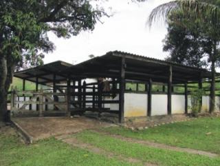 Cachoeiras de Macacu: Cachoeiras Macacu Oportunidade fazendinha 25 hectares 5