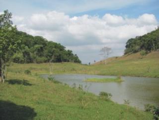Cachoeiras de Macacu:  s&iacute;tios em  Cachoeiras de Macacu 4