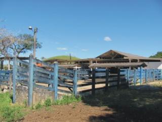 Cachoeiras de Macacu: Fazendas em Silva Jardim 5