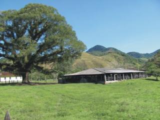 Cachoeiras de Macacu: Oportunidade em Silva Jardim 6