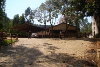 Cachoeiras de Macacu: Bom Jardim fazendas 4