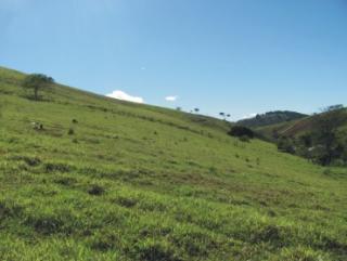 Cachoeiras de Macacu: Cantagalo fazendas 4