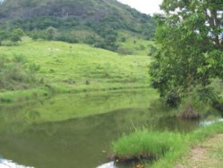 Cachoeiras de Macacu: Fazendas em Cantagalo 7
