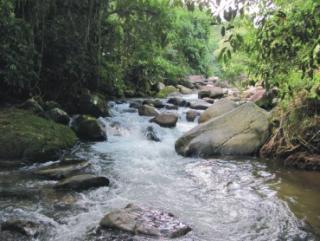 Cachoeiras de Macacu:  Chácara linda 2