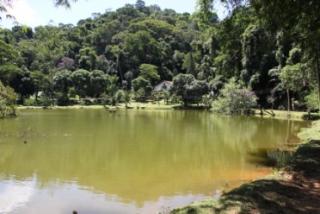 Cachoeiras de Macacu: Fazenda final de linha 4
