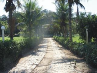 Cachoeiras de Macacu: Oportunidade fazendinha 1