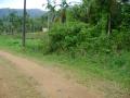 Jaraguá do Sul: Vende-se sítio na Barra do Rio Cerro II.